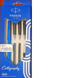 Parker Beta Neo Calligraphy Fountain Pen with Coated Clip
